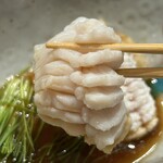 熟成鮨利他 難波 心斎橋 - 