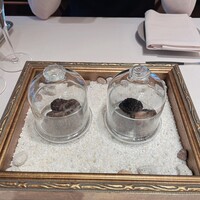 Terres de Truffes, Tokyo - 