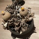 レスピラシオン - 