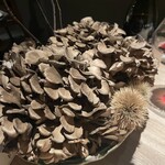 レスピラシオン - 