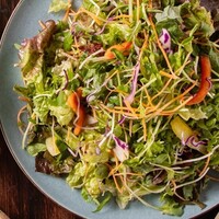 彩り10種野菜のサラダ　自家製プレミアムドレッシング