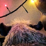 ロピア - えーーーーーきゃーーーー‼「あ、あなただったのーーー、おかえりなさい」