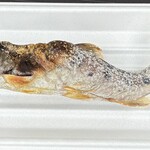 華厳の滝　つみっこ - ■山女魚￥700：ほんのり温かい山女魚の塩焼きは、香ばしさと身の締まりが心地よく、観光地らしい手軽さが魅力。ただ、釣り場で味わう熱々の臨場感には及ばず、少し物足りなさも。次回は名物のすいとんで、地元の味をじっくり堪能したい。