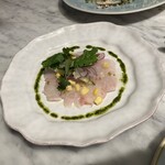 XIRINGUITO Escriba - 