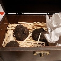 マルゴット エ バッチャーレ - トリュフ