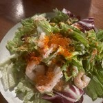 Spanish&Italian REGARIO - 