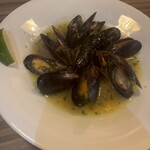 Spanish&Italian REGARIO - 