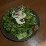 Spanish&Italian REGARIO - 