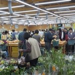 Shiratori No Sato Habikino Asukatekurude - 地元の農家でとれた花やら果物やら野菜やらがいっぱい売っています。
                        