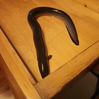 日本料理 梅林 - 