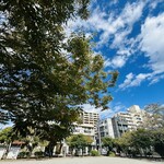 Burger DBrown - 復路　お店付近の公園にて