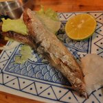 四十五圓 - 鰹ハランボ