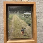 やきとり かずお - 