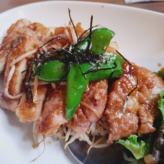 cafe やどり木_1