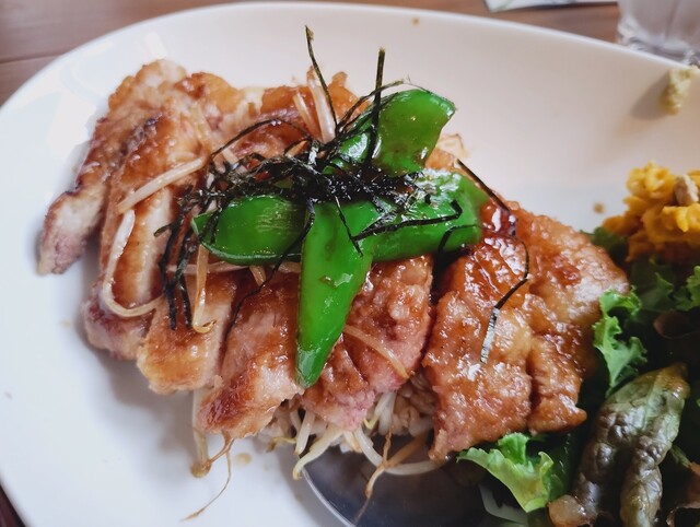 cafe やどり木 - 出戸浜（カフェ）の写真