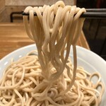 いかれたヌードル フィッシュトンズ - 