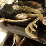 deco - 足もいかつい。ｗ