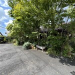 プレーンツリー  - 