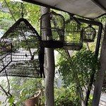 プレーンツリー  - 