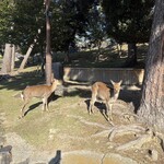 天理スタミナラーメン 近鉄奈良駅前店 - 