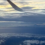 あご出汁うどん こがね丸 - 