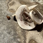 貝殻亭 - 白レバーとフォアグラ