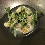 ピアッティ カステリーナ - 