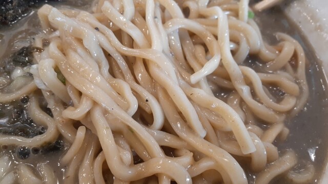 煮干しラーメン山岡家 弘前店（YAMAOKAYA） - 弘前東高前（ラーメン）の写真