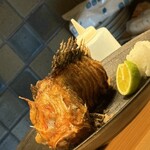 炭火割烹 麻布龍土町 - キンキの塩焼き。この迫力よ！しっかりいただきますという気になります。