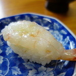 Kiku Zushi - 牡丹海老。