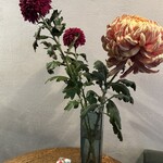 スタイルズケイクス＆カンパニー - 