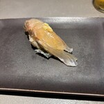 立食い鮨 鮨川 - 