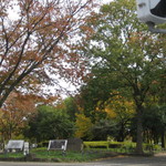 TSUMUGI Kitchen - おまけ・近くの千種公園の紅葉がキレイ