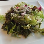 ステラレガーレ - 