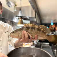 港式料理 鴻禧 - 