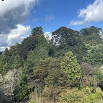 吉野葛 八十吉 - 