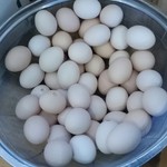 いってつ - ゆで卵（一人1個無料）