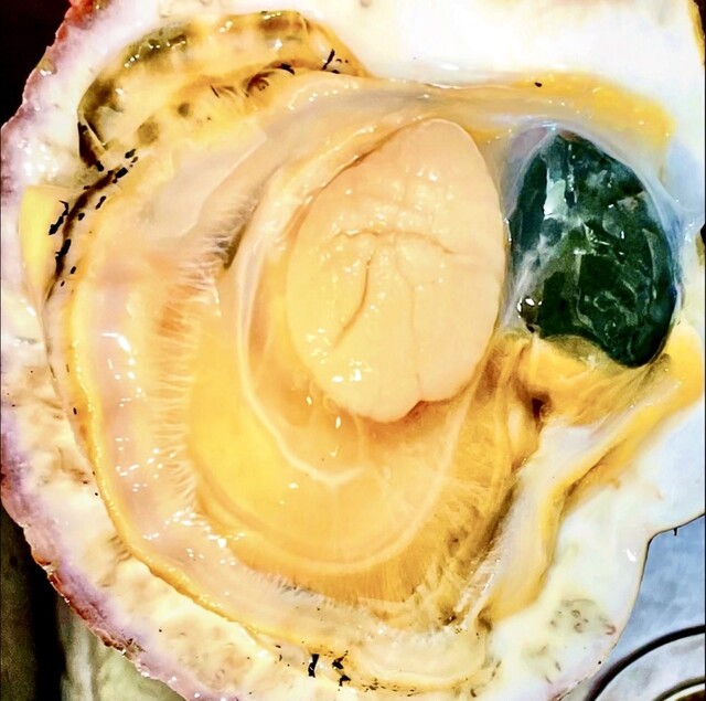 炉ばた焼 浦シマ（ウラシマ） - 沼ノ端（居酒屋）の写真