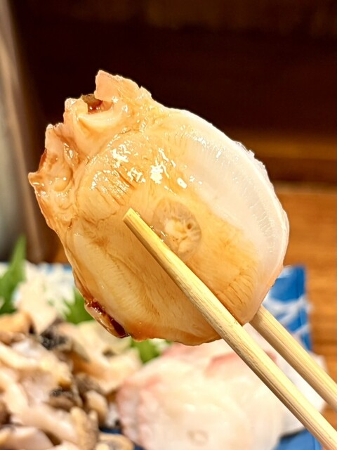 炉ばた焼 浦シマ（ウラシマ） - 沼ノ端（居酒屋）の写真