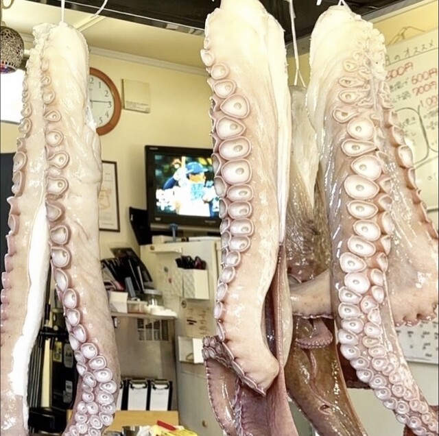 炉ばた焼 浦シマ（ウラシマ） - 沼ノ端（居酒屋）の写真