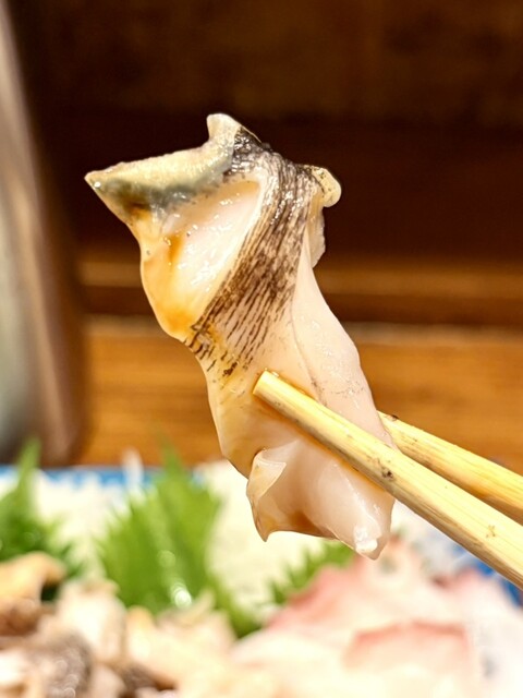 炉ばた焼 浦シマ（ウラシマ） - 沼ノ端（居酒屋）の写真