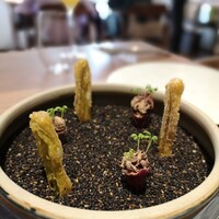 ル スプートニク - 