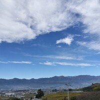 レストラン鳥居平 - 窓際のお席でした。