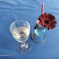 レストラン鳥居平 - 食前酒が2025年の新酒ワインでした。（世界に登録されていない品種のワインには解禁日は無いそうです）