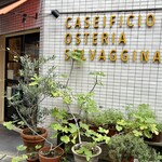 オステリア セルヴァジーナ - 