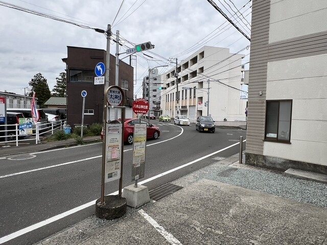 SAINO 八木山香澄町店（SAINO インド&bull;ネパール料理） - 八木山動物公園（ネパール料理）の写真