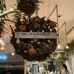 Mr.FARMER - 