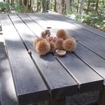 Cou屋 - 秋らしいですね～