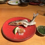 新福島 たいよう - 