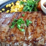 ステーキレストラン がんねん - 平成26年10月 LLサイズ(260g)がんねん